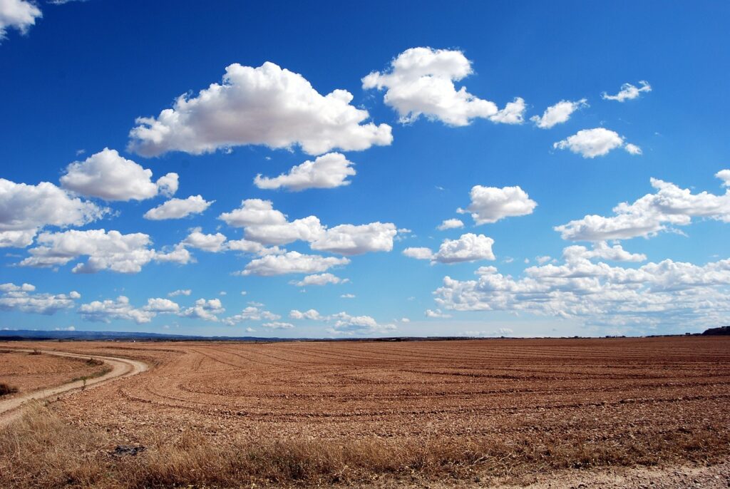 What Role Do Crop Insurance And Risk Management Play In Profitability?