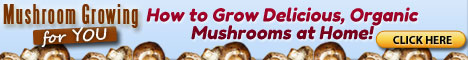 Mushroom Growing 4 You